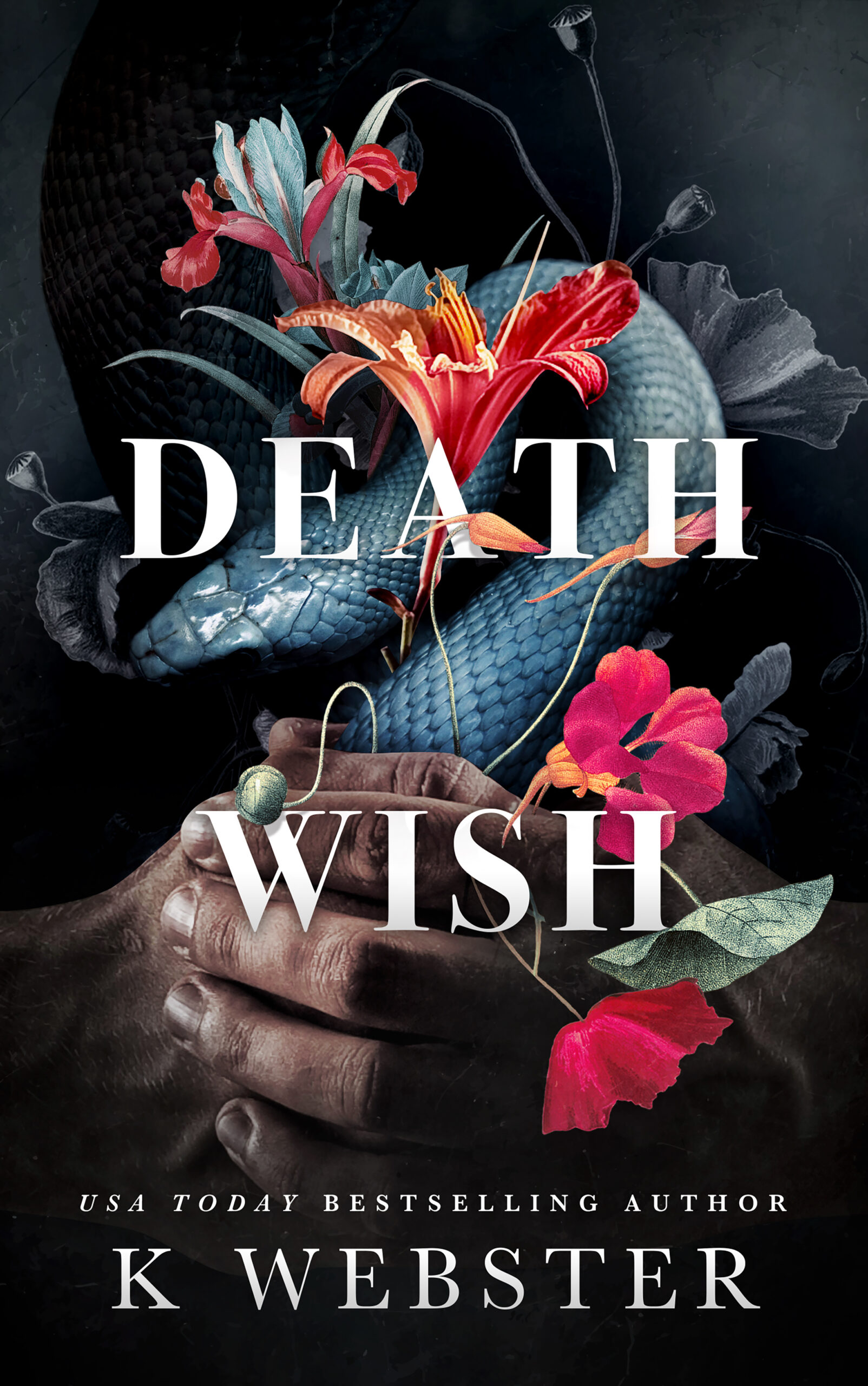 Book Cover: Death Wish by K Webster