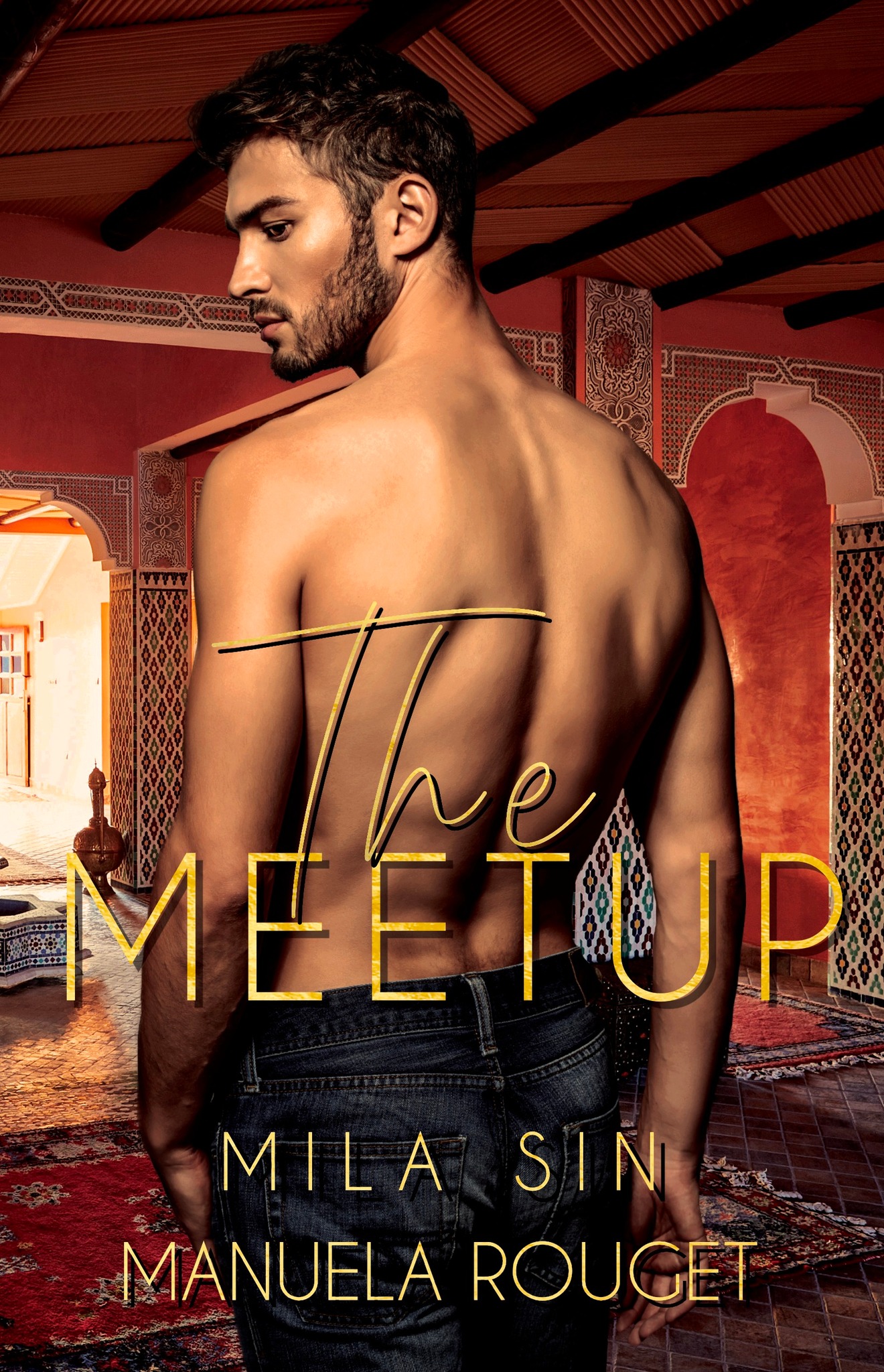 Book Cover: The Meetup by Mila Sin and Manuela Rouget