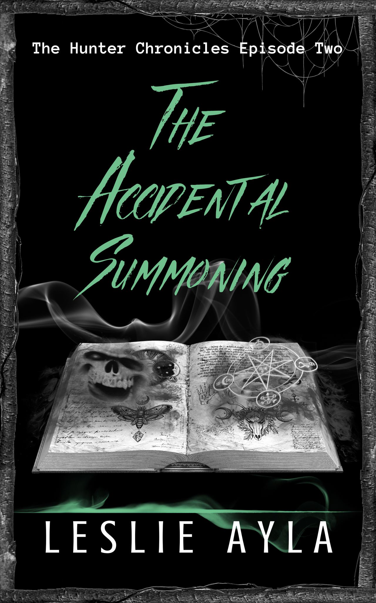 Book Cover: The Accidental Summoning by Leslie Ayla