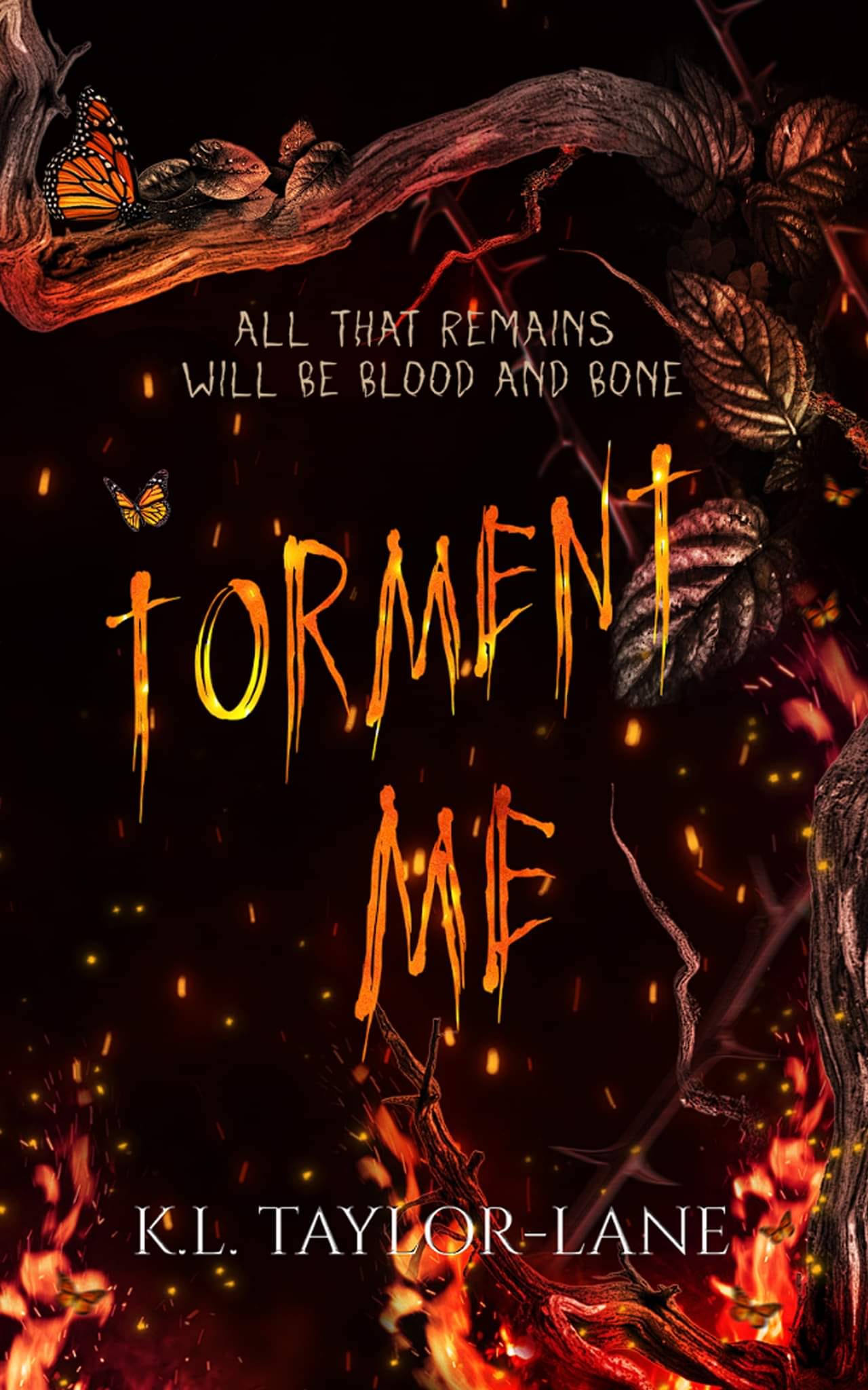 Book Cover: Torment Me by K. L. Taylor-Lane